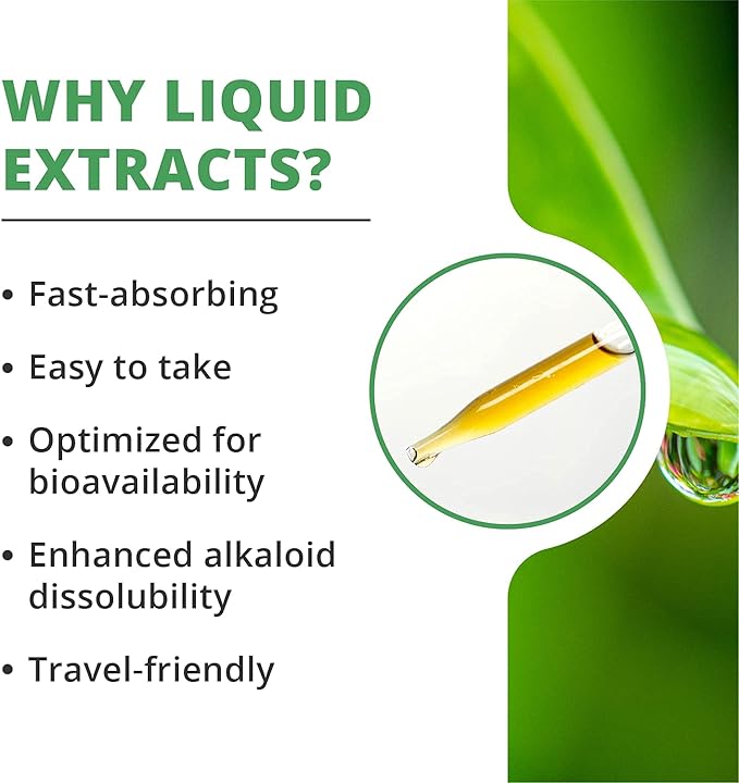 NutraMedix Parsley Herbal Supplement - Parsley Leaf and Stem Extract - Antioxidant Support, Body Detox & Cleanse Support - Liquid Herbal Supplements for Immune Health (1oz / 30ml)