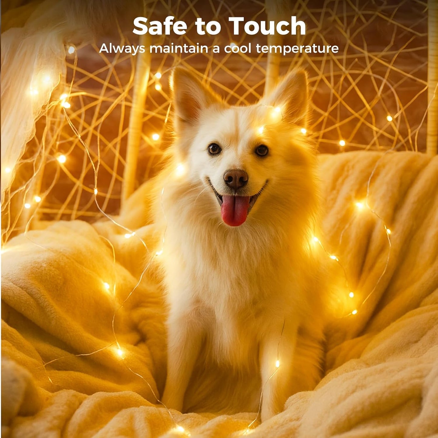 Litogo 12 Pack Fairy Lights Battery Operated with Timer, 20 LED 3 Modes Twinkle Light, 7ft Waterproof Silver Wire Mini Small Bulk Mason Jar String Light, Decor for Wedding Centerpieces Party Christmas