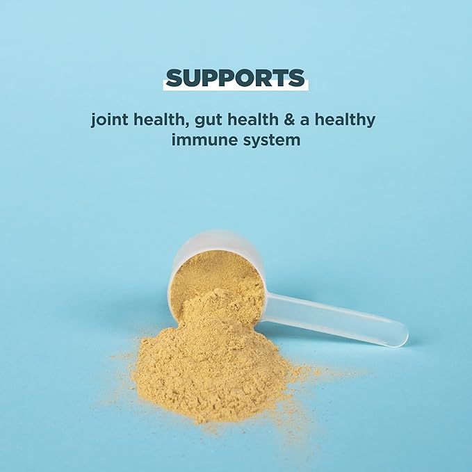 Ancient Nutrition Grass Fed, Cage Free, Bone Broth Protein Powder, 20g Protein, Hydrolyzed Collagen Peptides, Keto & Paleo Friendly, Supports Joint, Gut Health, Vanilla, 20 Servings