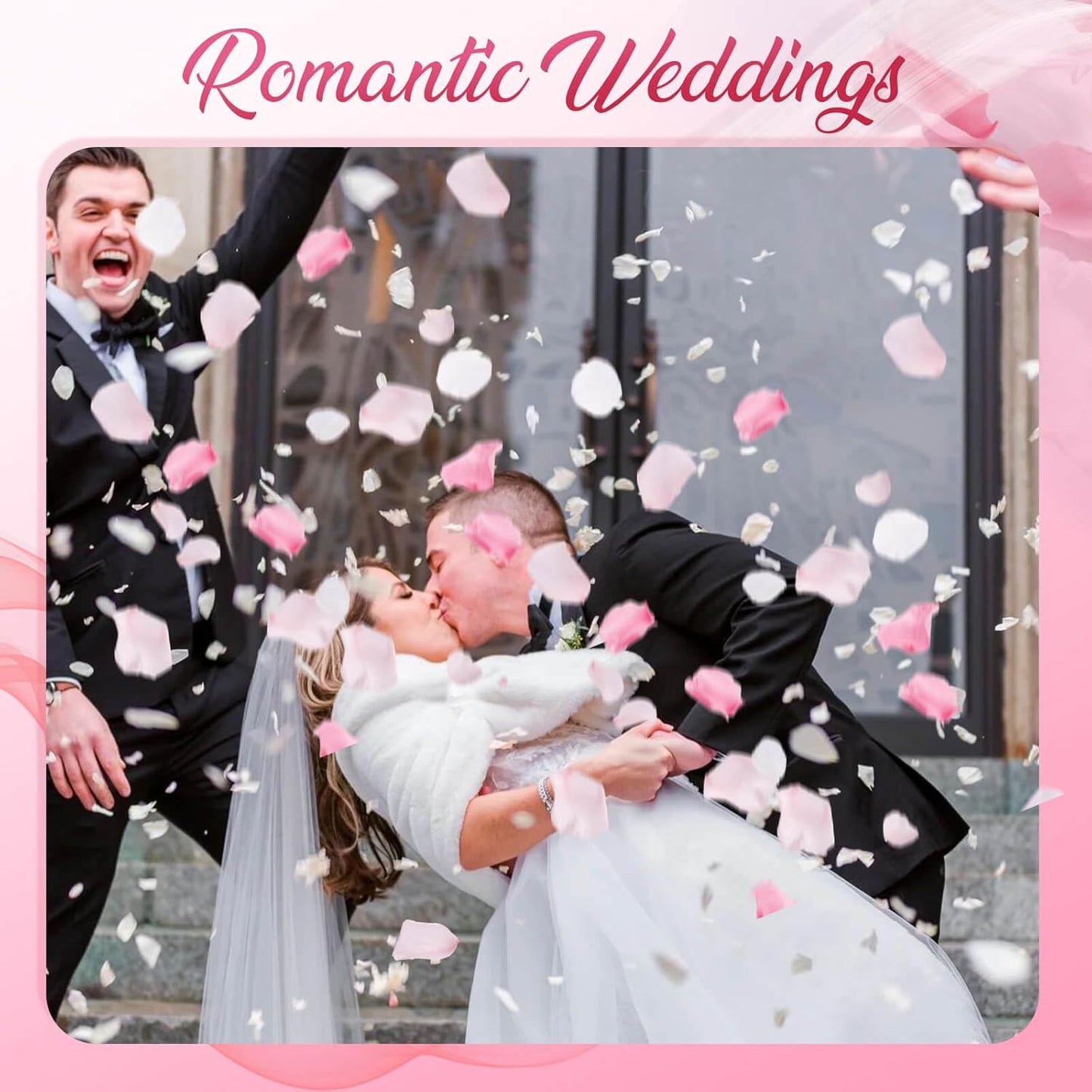 300 PCS Real Pink White Rose Flower Petals Confetti for Wedding Flower Girl to Throw, 2.82oz Freeze Dried Rose Petal for Proposal Centerpieces Romantic Night Decor