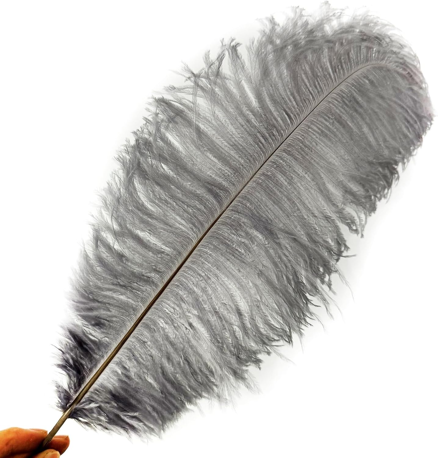 HAPPY FEATHER 16-18 inch Gray Ostrich Feathers Craft for Wedding Party Centerpieces Home Decoration DIY Craft Pack of 10