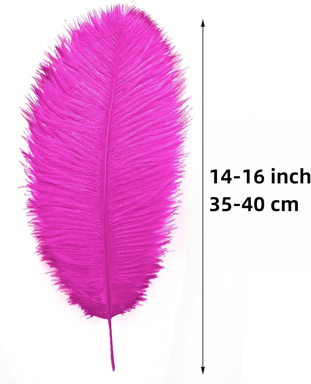 Ballinger Fuchsia Large Ostrich Feathers - 12Pcs 14-16inch Large Feathers for Vase,Theme Party Centerpieces and Holiday Home Decor