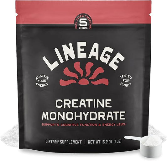 Micronized Creatine Monohydrate with Sea Salt - Micronized Creatine Powder for Training & Performance – No Artificial Ingredients – 90 Servings