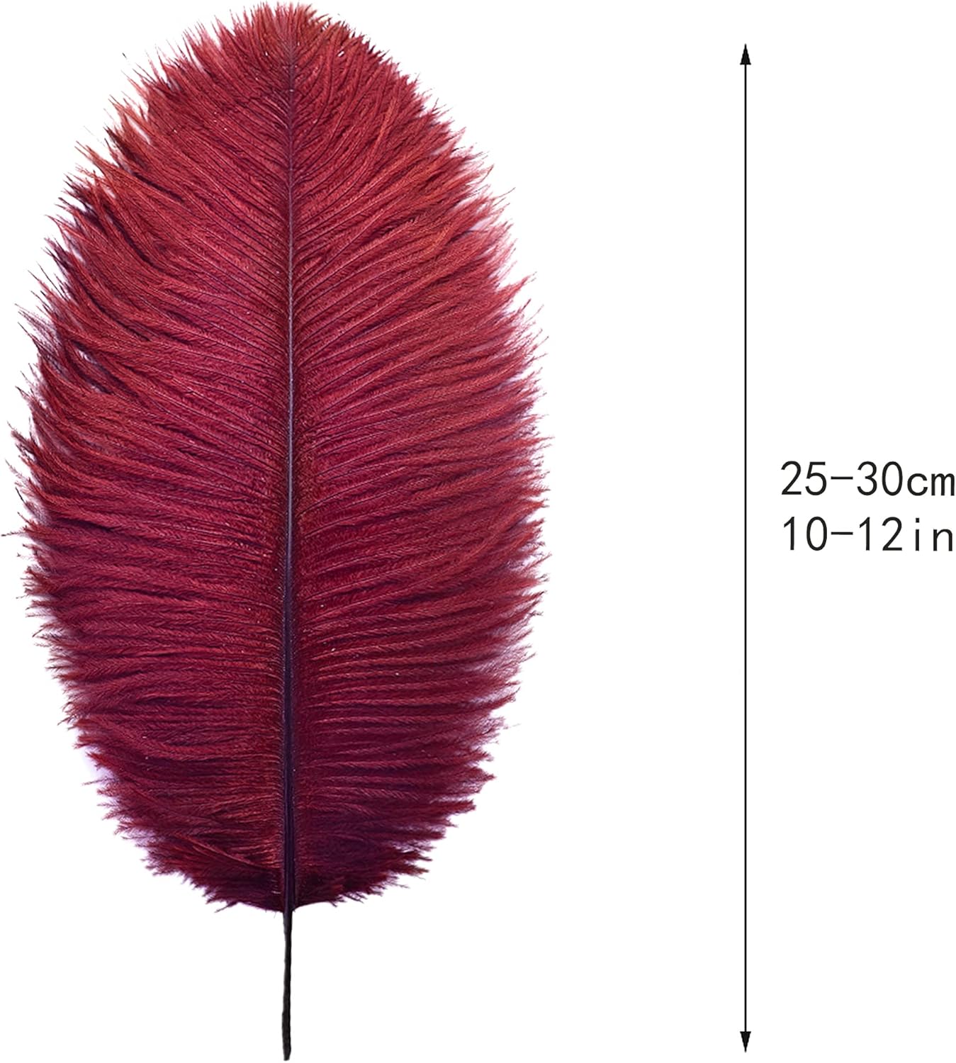 Ballinger Burgundy Ostrich Feathers Bulk - 24Pcs 10-12inch Feathers for Party Centerpieces, Flower Arrangement and Home Decor