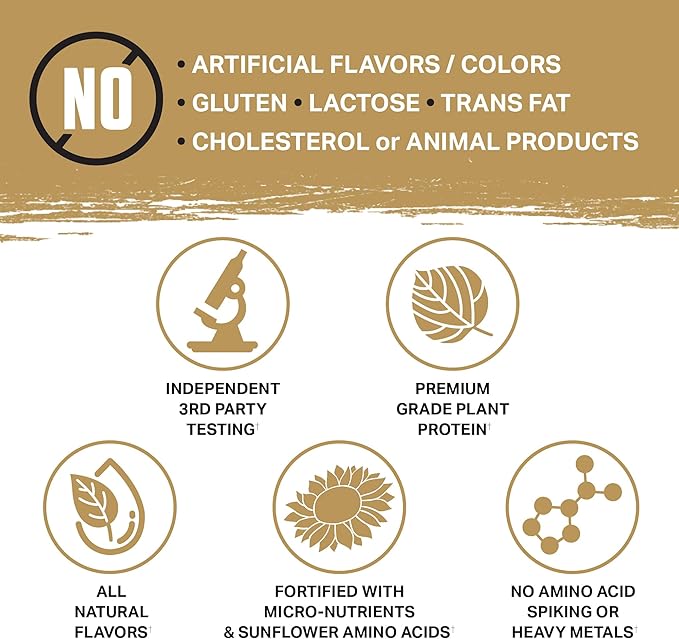 Ambrosia Planta - Premium Organic Plant-Based Protein | Vegan & Keto Friendly | Candy Bar