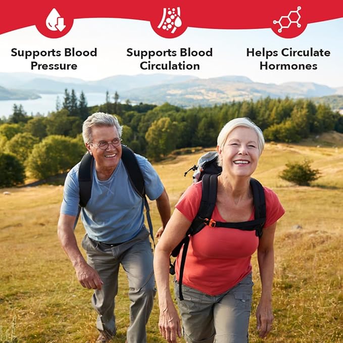 LifeSeasons B/P Stabili-T - Blood Pressure Support - Vitamin Supplement for Healthy Heart & Circulation - Ashwagandha, Arjuna & Hawthorn Berry - 240 Capsules