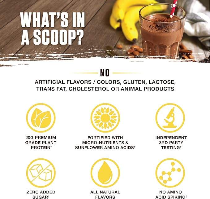 Ambrosia Planta - Premium Organic Plant-Based Protein | Vegan & Keto Friendly | Gourmet Flavors with No Bloating or Stomach Upset | No Added Sugar | 14 Servings | (Banana Maple)