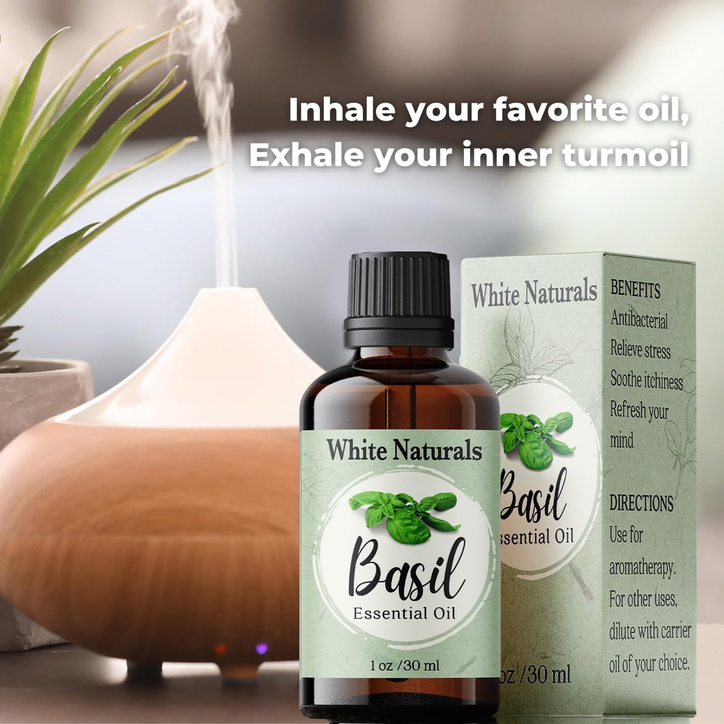 Basil Essential Oil,100% Pure & Natura, Therapeutic Grade Basil Oil for Aromatherapy, Great for Skin, Massage, Diffuser Candle & Soap Making, Plant Therapy 1 oz Bottle with Dropper