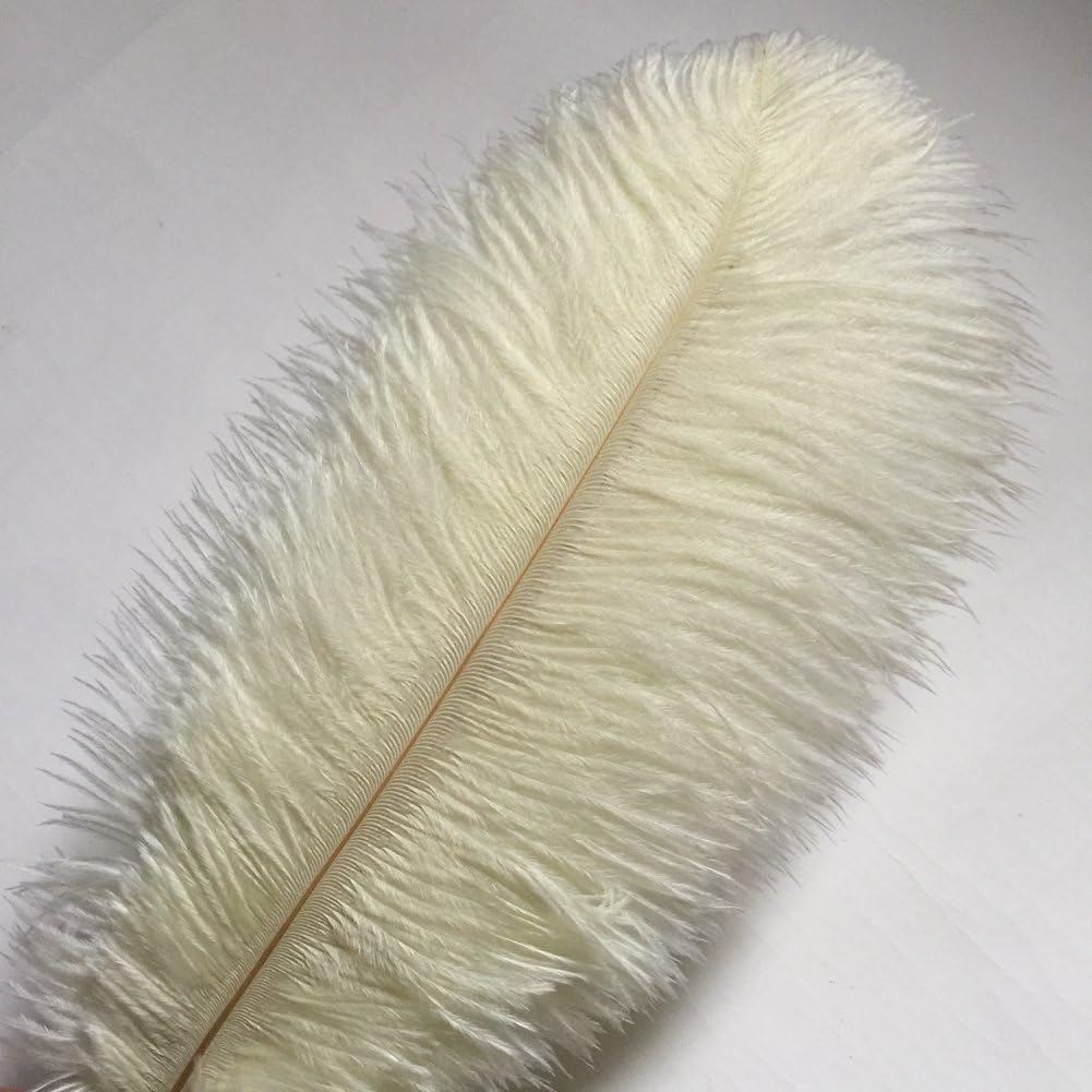 Sowder 14-16inch(35-40cm) Ostrich Feathers Plume for Wedding Centerpieces Home Decoration Pack of 10pcs(Ivory)