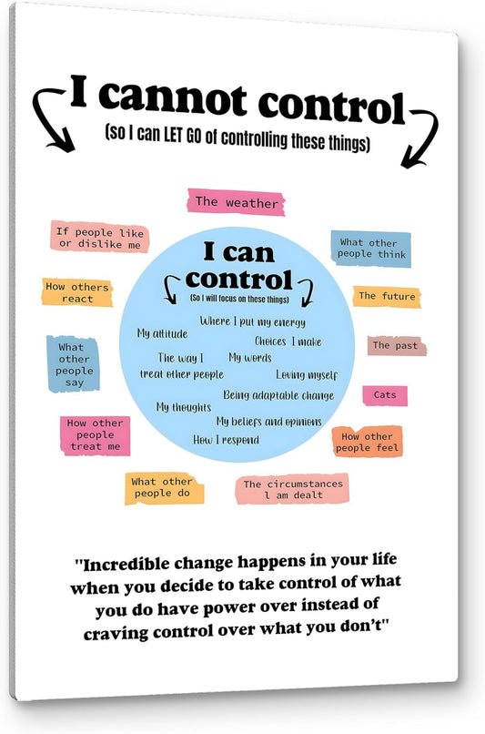 PHAMTE Mental Health What I Can and Cannot Control Wall Art,Positive Poster Print Framed Canvas Painting Artwork For Home School Counseling Treatment Office Therapy Office Decor (16x24 Inch)