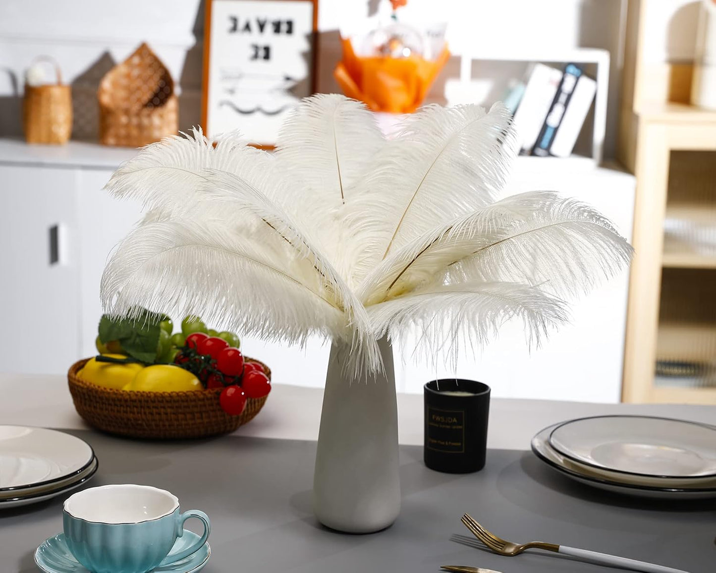 Ballinger Beige Big Ostrich Feathers - 12Pcs 14-16inch Large Ostrich Feathers for Vase,Wedding Party Centerpieces and Holiday Home Decor