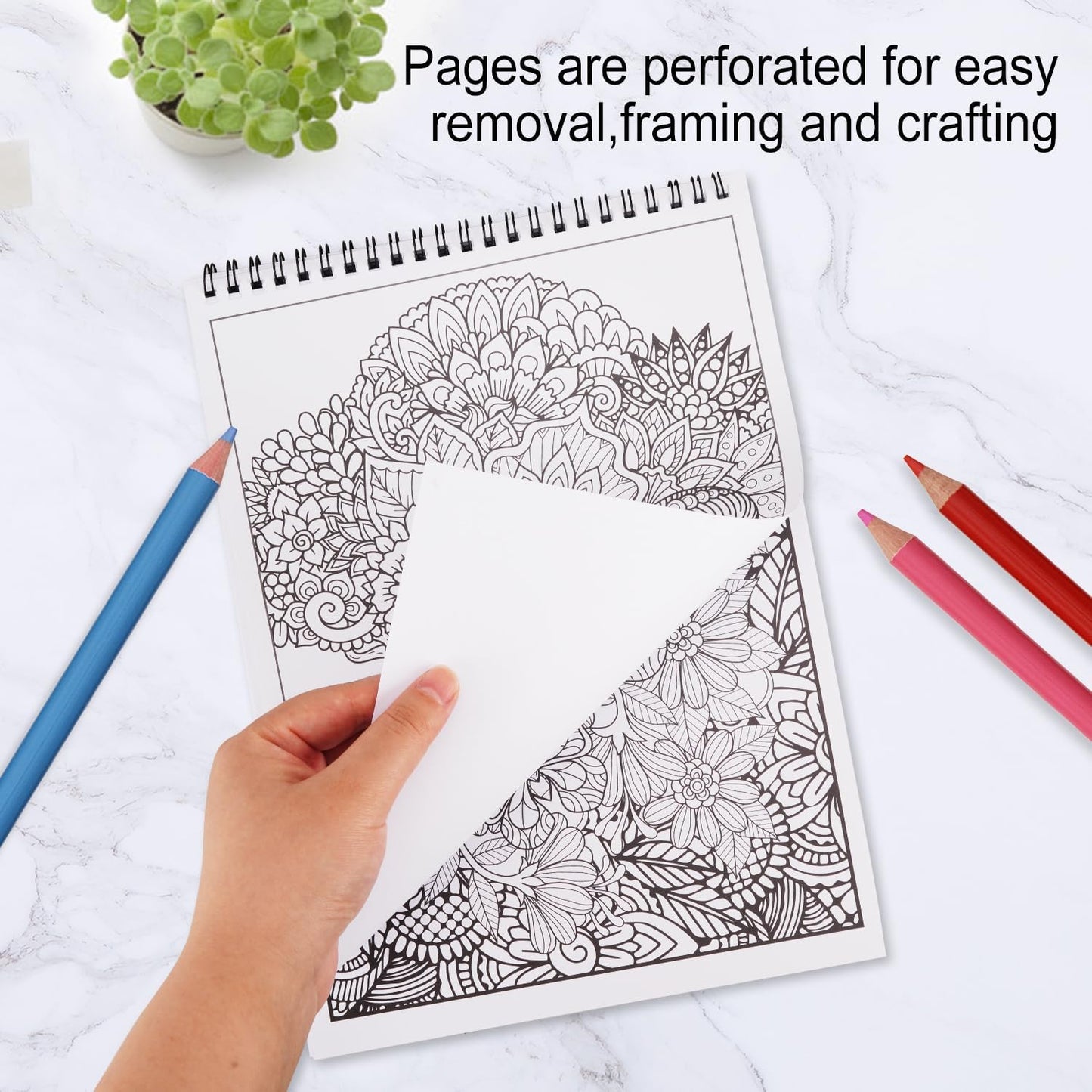 Bondream 3 Pack Adult Coloring Books,Flower,Mandalas &Animal Patterns and Designs for Adults Relaxation,Coloring Books for Women to Relax, Anxiety and Depression