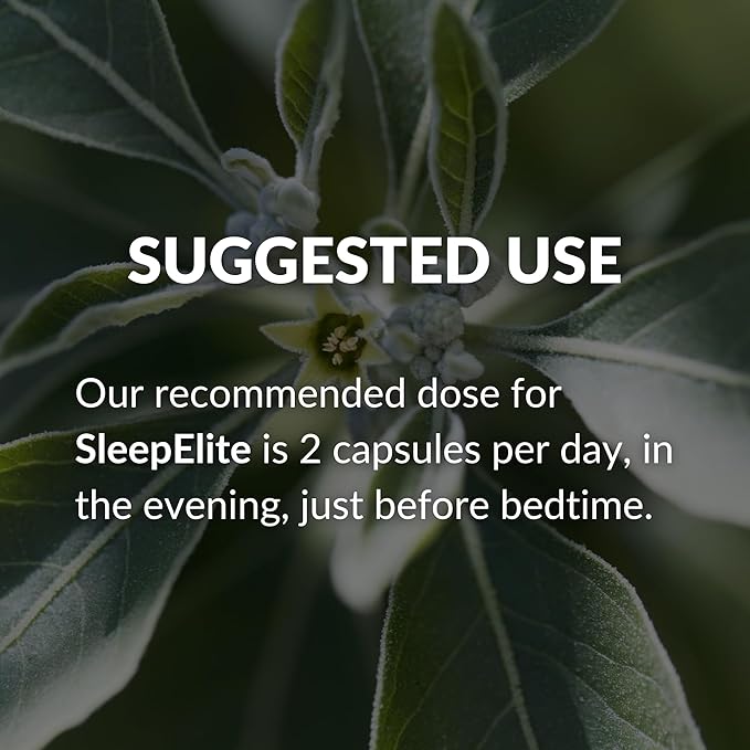 Mara Labs SleepElite | Supports Brain Function, Mood, and Sleep | with Serotonin Catalysts | 30 Servings