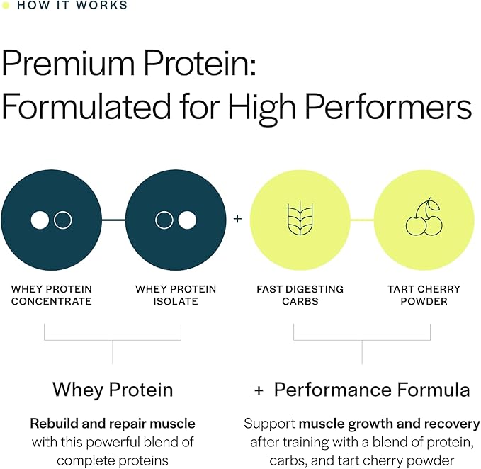 Gainful Performance Whey Protein Powder, 25g Protein per Serving, Unflavored, Supports Muscle Growth, Recovery, and Endurance, with Tart Cherry Powder, No Artificial Ingredients, 14 Servings