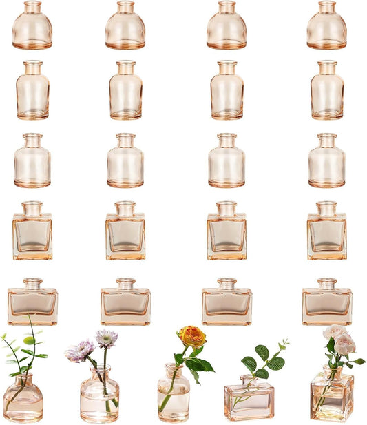 Glasseam Mini Bud Vases for Centerpieces: Clear Small Flower Vase Set of 20 Cute Tiny Glass Table Centerpieces Modern Wedding Birthday Party Baby Shower Dining Room Decoration Champagne