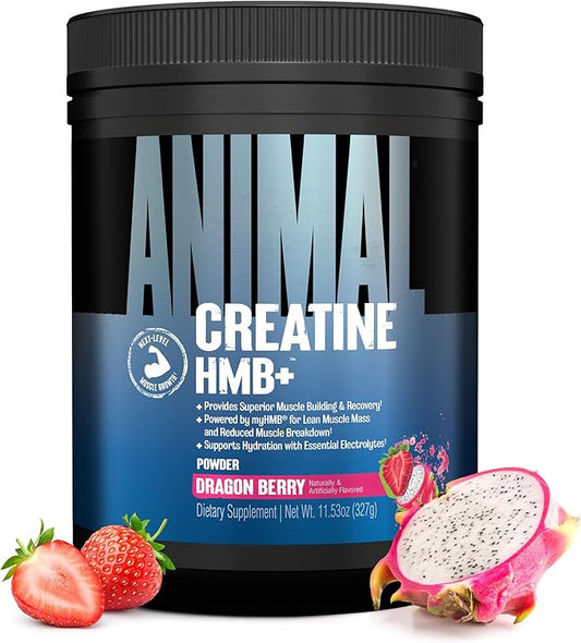 Animal Creatine HMB Powder – 5g Creatine + 3g myHMB with Electrolytes for Recovery & Daily Energy – Dragon Berry Flavor, 30 Servings