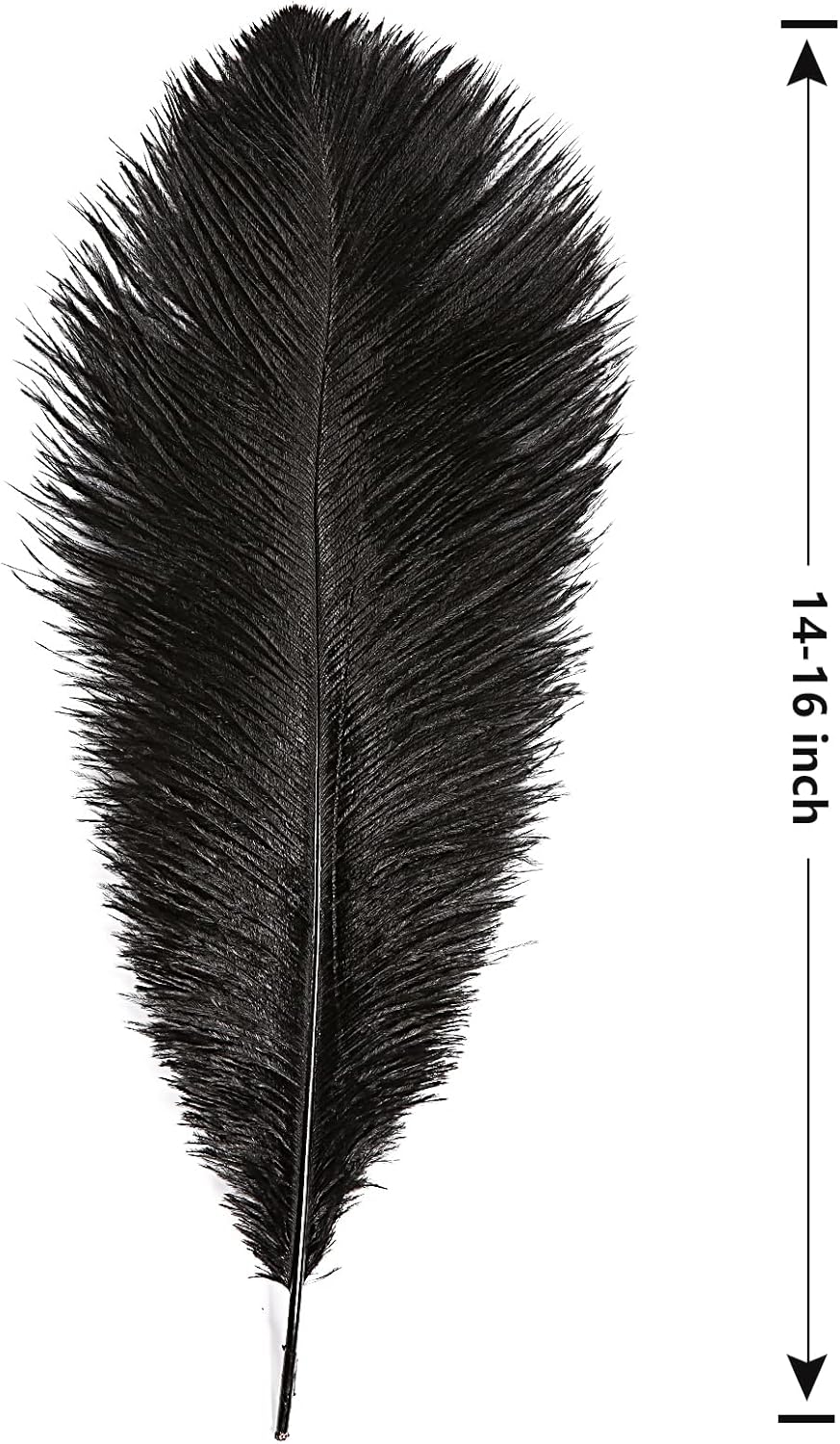 THARAHT Black Ostrich Feathers 12pcs Large Natural Bulk 14-16Inch 35cm-40cm for Wedding Party Centerpieces Halloween and Home Decoration Feathers
