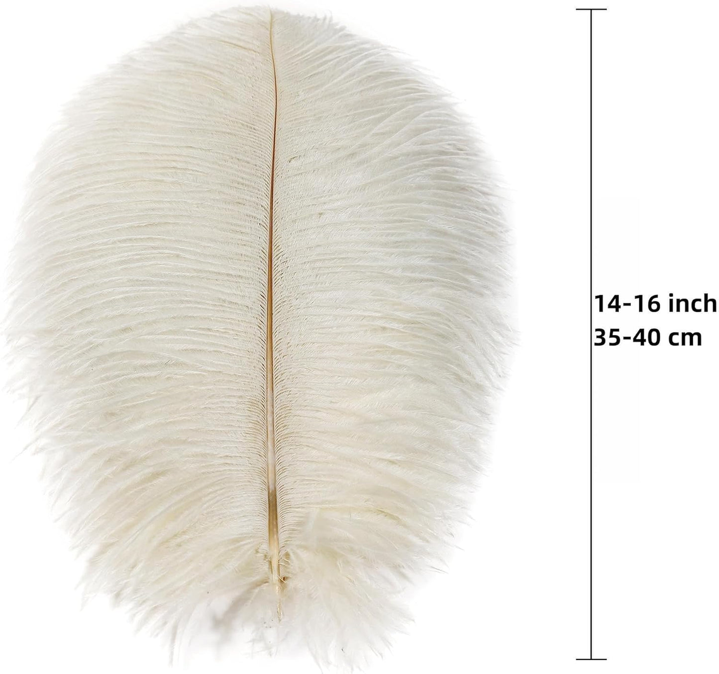 Ballinger Beige Big Ostrich Feathers - 12Pcs 14-16inch Large Ostrich Feathers for Vase,Wedding Party Centerpieces and Holiday Home Decor