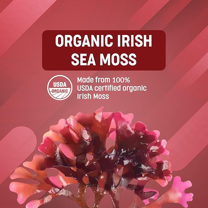 Ocean Optima Wild Irish Sea Moss Organic & Kosher, 100% Natural Sea Kelp Iodine Supplement, Minerals & Amino Acids for Thyroid, Hair Skin Nail, Digestion, Chondrus Crispus, Gym Essentials, 90 Caps