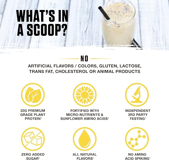 Ambrosia Planta - Premium Organic Plant-Based Protein | Vegan & Keto Friendly | Gourmet Flavors with No Bloating or Stomach Upset | Gluten & Soy Free | No Added Sugar | 14 Servings | (Vanilla)