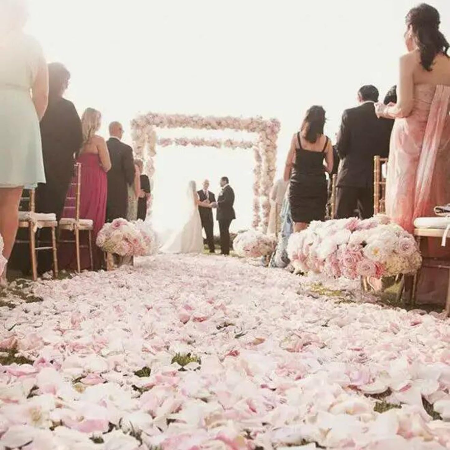 CODE FLORIST 1500 PCS White Silk Rose Petals for Valentine's Day,Romantic Night,Wedding,Proposal Anniversary Flower Decorations(Separated,Scented)