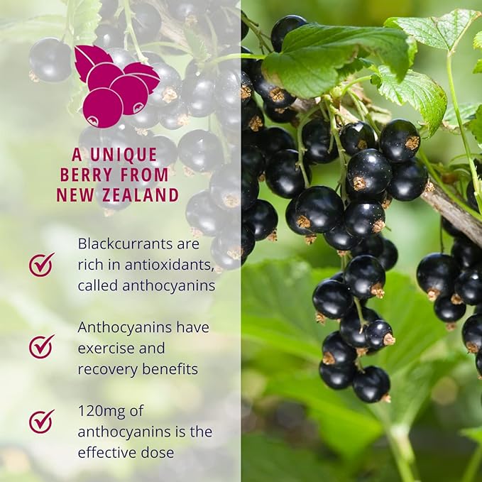 Blackcurrant I All Natural Vegan Pre Workout, Caffeine Free I Clean Energy, Endurance, Recovery I Pre Workout Women and Men I 20 x Individual Packets I Informed Sports Certified