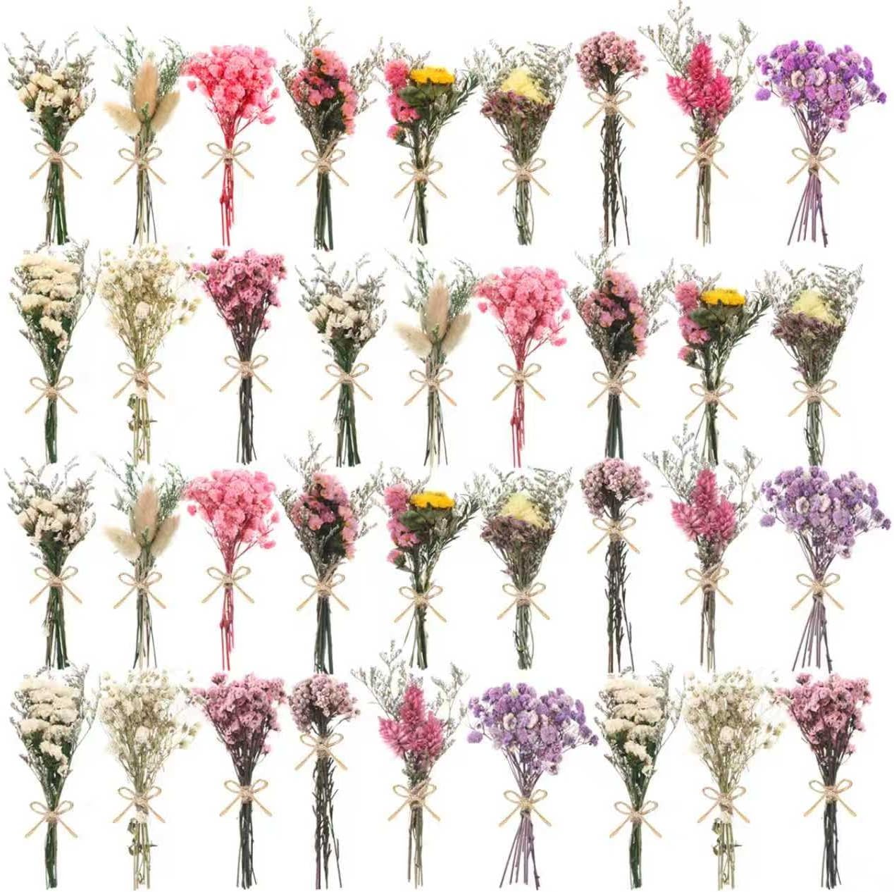 10/12/24/36 Pack Mini Dried Flowers for Vase Wedding Various Mini Bouquet Dried Small Wildflowers Natural Flowers Bulk for Crafts DIY Decor (36, Multicolor)