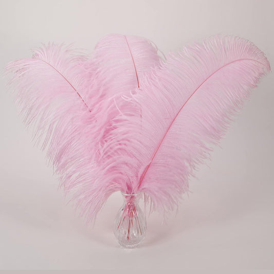 Larryhot Pink Long Ostrich Feathers - 16-18 inch 10pcs Feathers for Cfafts, Wedding Party Centerpieces and Home Decorations (Light Pink)
