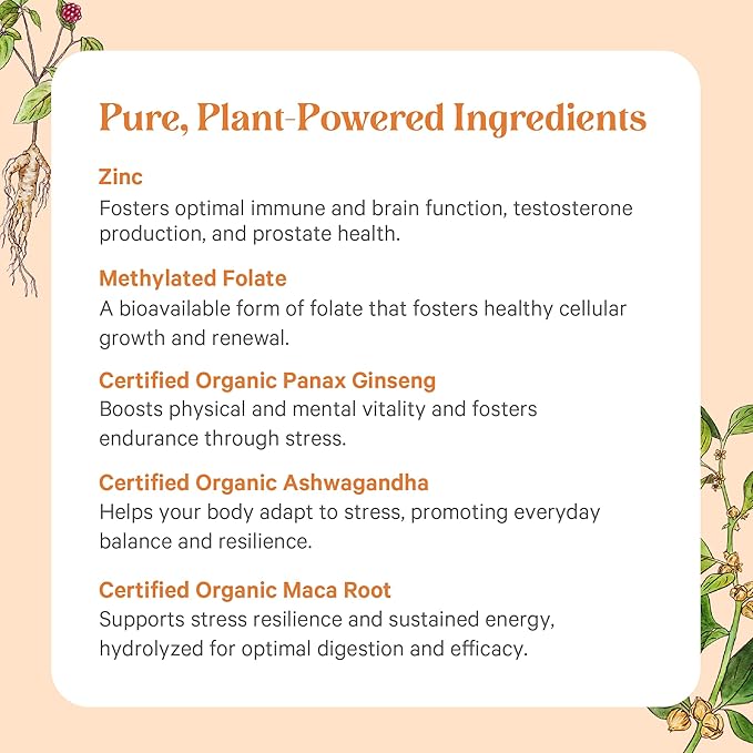 PURE SYNERGY Vita·Min·Vitality | Natural Multivitamin for Men | Men’s Daily Multivitamin Made with Organic Whole Foods | for Energy, Stress, and Immune Support (60 Tablets)