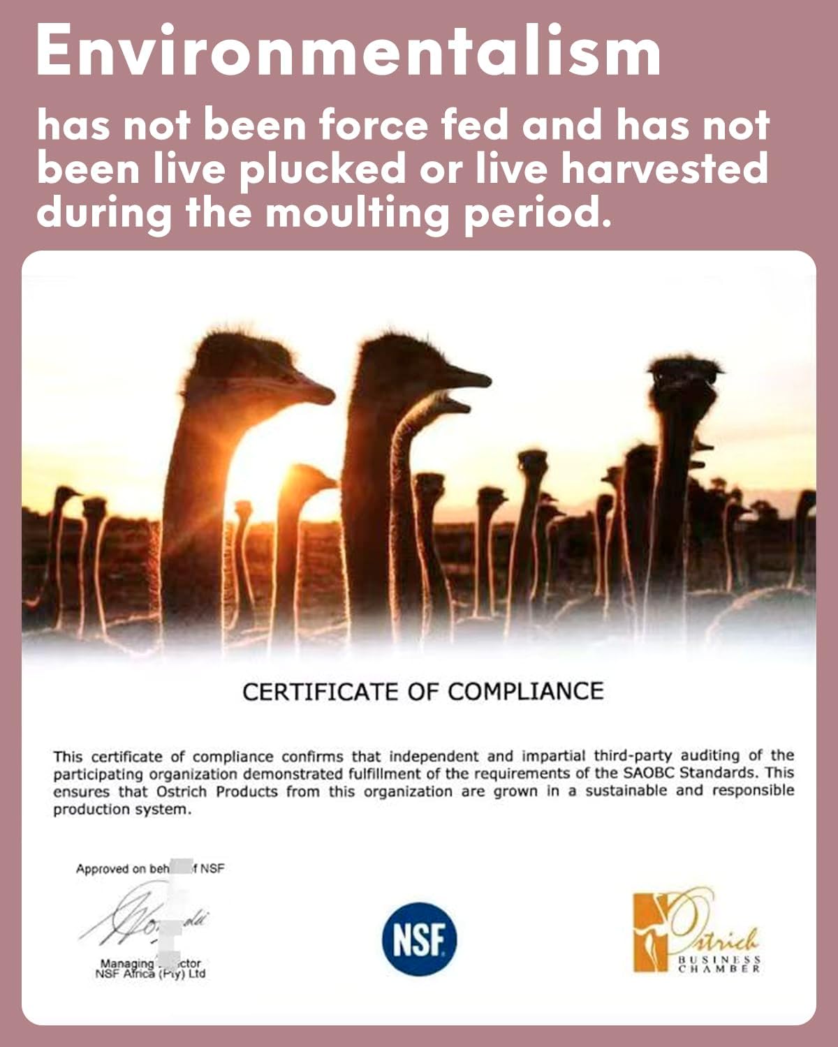 NEWONG 30pcs Peony Pink Ostrich Feathers Natural Bulk 9-12inch(23-30cm) Vase Craft Wedding Home Party Centerpieces Christmas Day Decoration