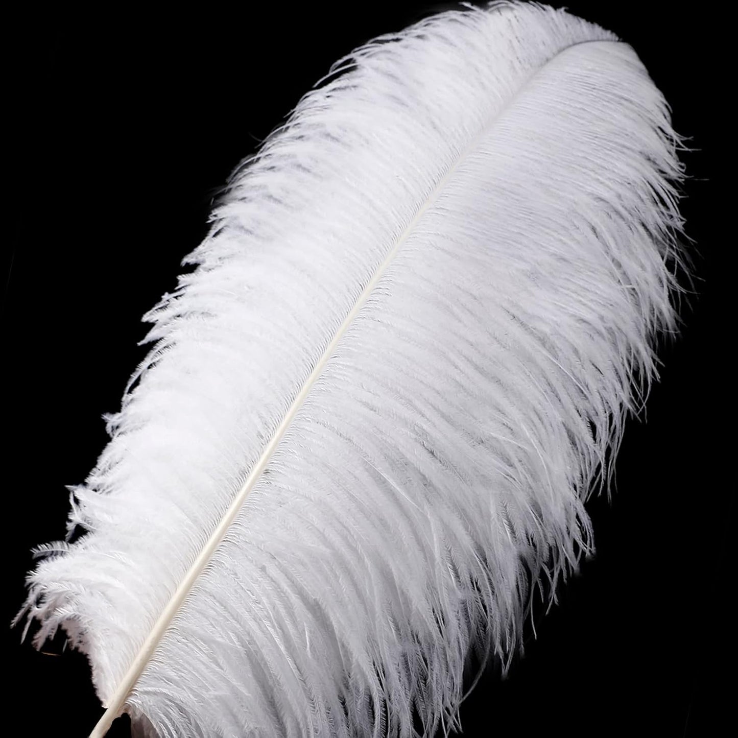 Larryhot White Large Ostrich Feathers - 16-18 inch 10pcs Feathers for Vase,Wedding Party Centerpieces and Home Decorations (White)