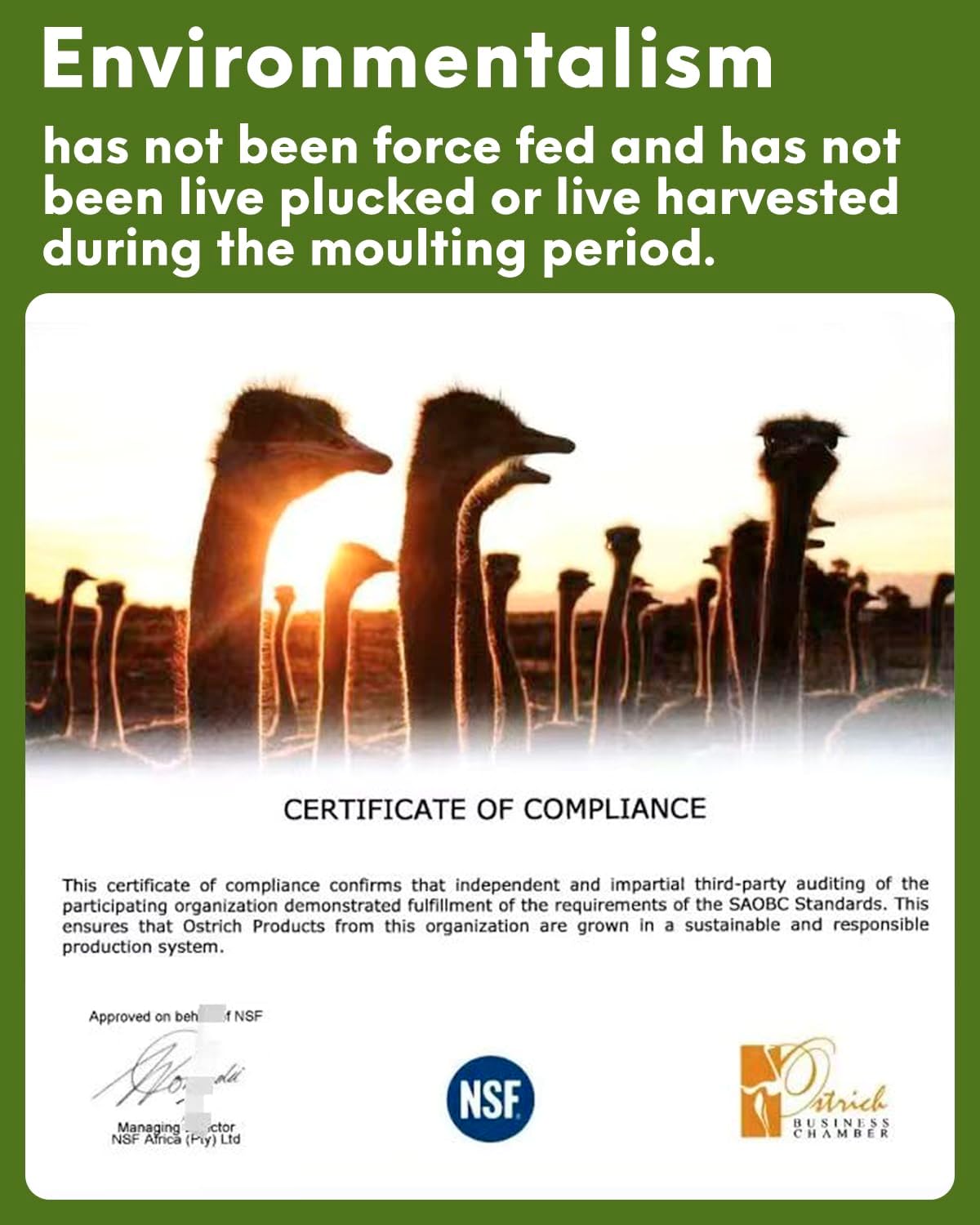 NEWONG 30pcs Fruit Green Ostrich Feathers Natural Bulk 11-14inch(28-35cm) Vase Craft Wedding Home Party Centerpieces Christmas Day Decoration