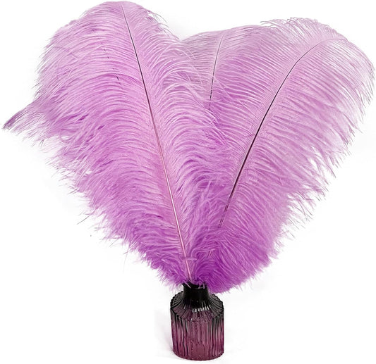 Happy Feather 16-18 inch Light Purple Ostrich Feathers Craft for Wedding Party Centerpieces Home Decoration DIY Craft Pack of 10