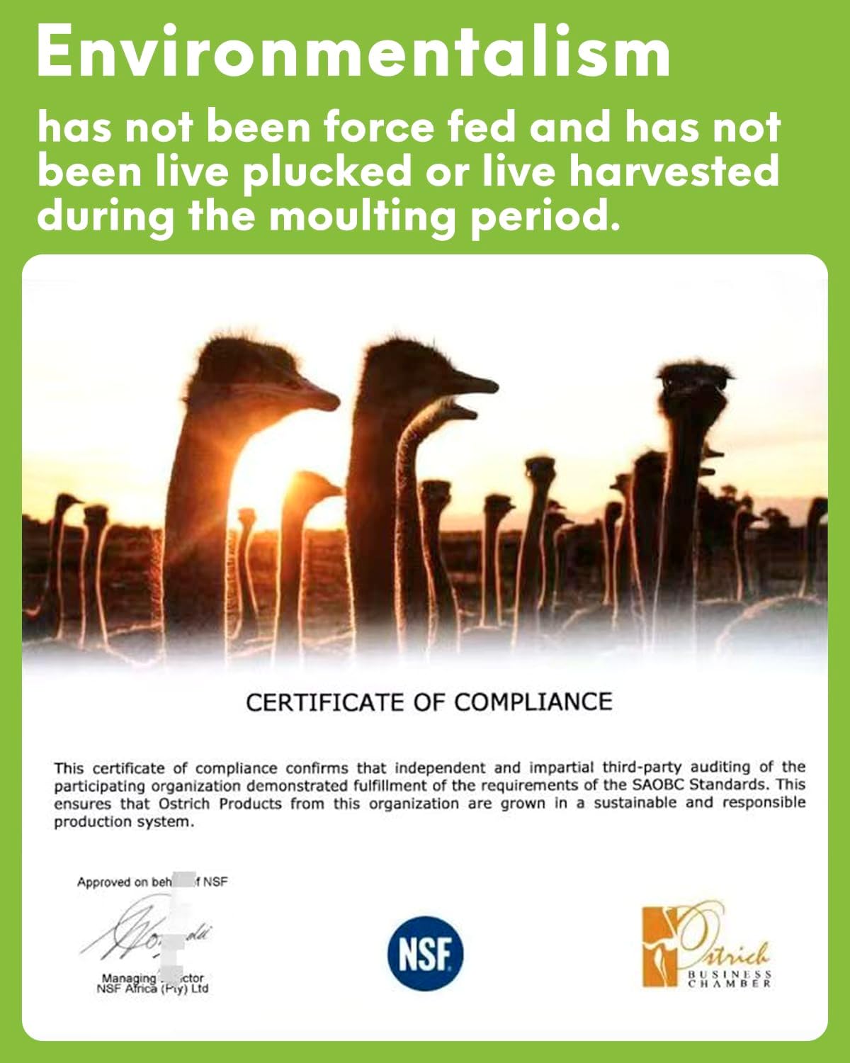 NEWONG 30pcs Hot Pink Ostrich Feathers Natural Bulk 9-12inch(23-30cm) Vase Craft Wedding Home Party Centerpieces Christmas Day Decoration