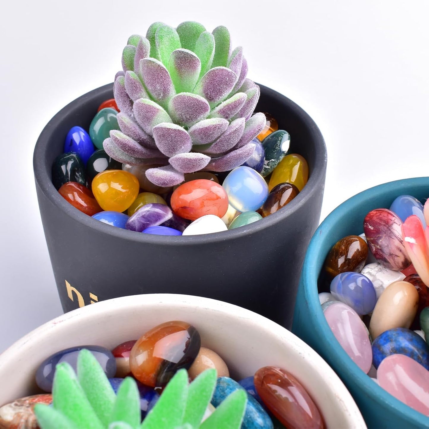 Petrified Wood Healing Crystal Stone Set - 24 Pieces, 0.6" Natural & Polished Stones for Healing, Meditation, Reiki, Chakra, Crafting & Decoration