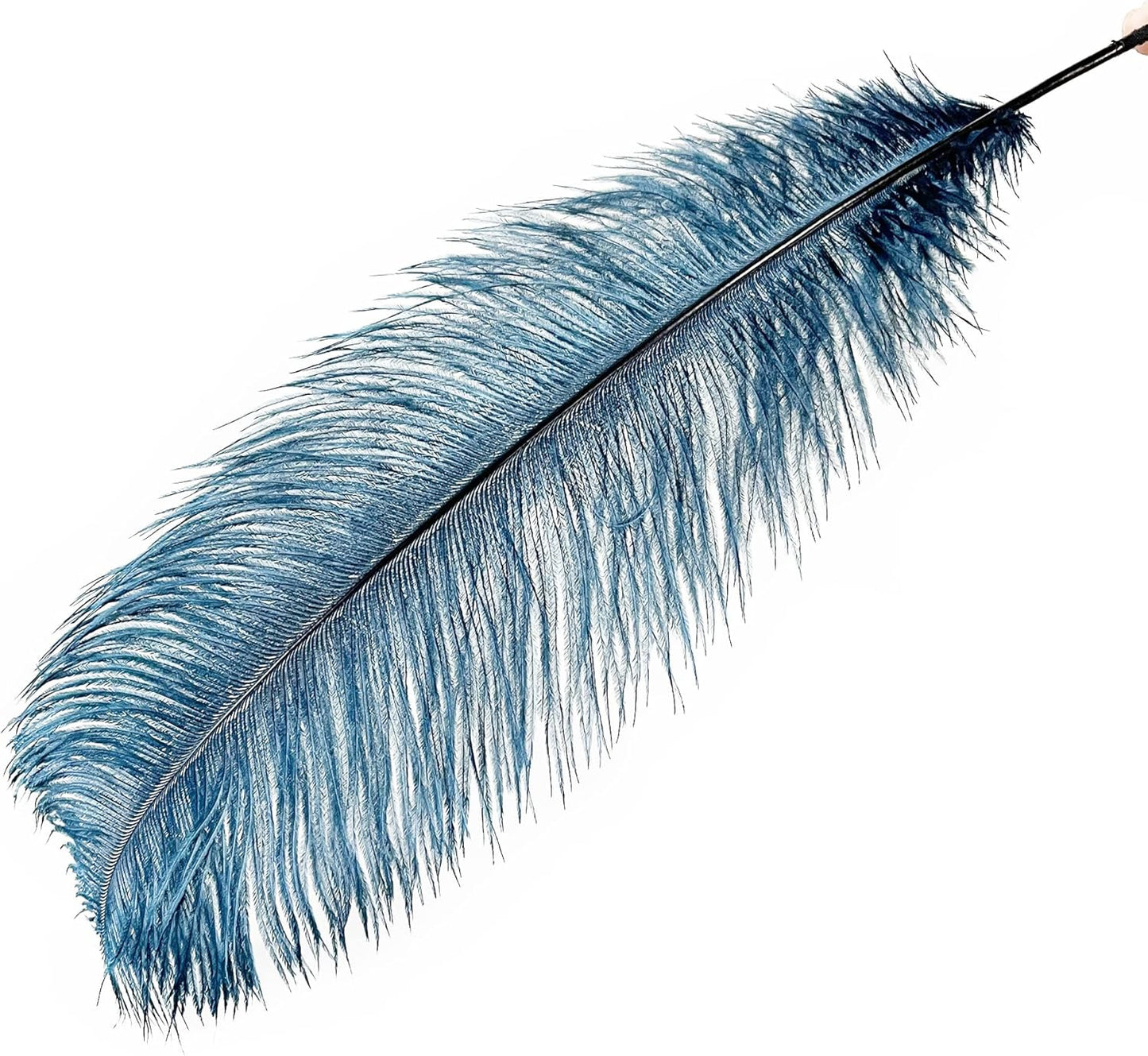 Happy Feather 16-18 inch Ostrich Feathers Craft for Wedding Party Centerpieces Home Decoration DIY Craft Pack of 10-Turquoise