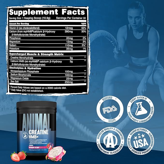 Animal Creatine HMB Powder – 5g Creatine + 3g myHMB with Electrolytes for Recovery & Daily Energy – Dragon Berry Flavor, 30 Servings