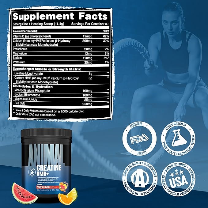 Animal Creatine HMB Powder – 5g Creatine + 3g myHMB with Electrolytes for Recovery & Daily Energy – Power Punch Flavor, 30 Servings