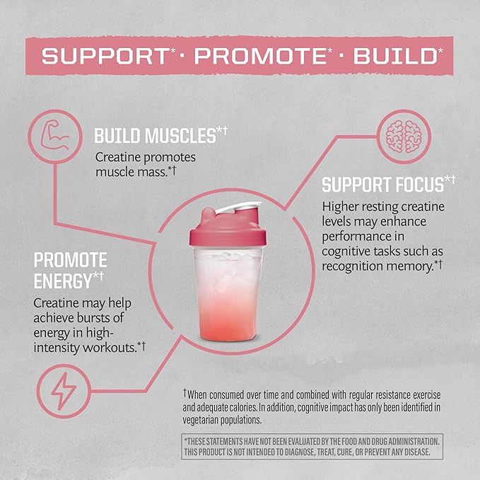 Creatine Monohydrate Powder Micronized PreWorkout Recovery Supplement | Support Muscle Building Strength Training Cognition | Vegan & Keto Friendly Easily Mixes (50 Servings) Raspberry Flavored