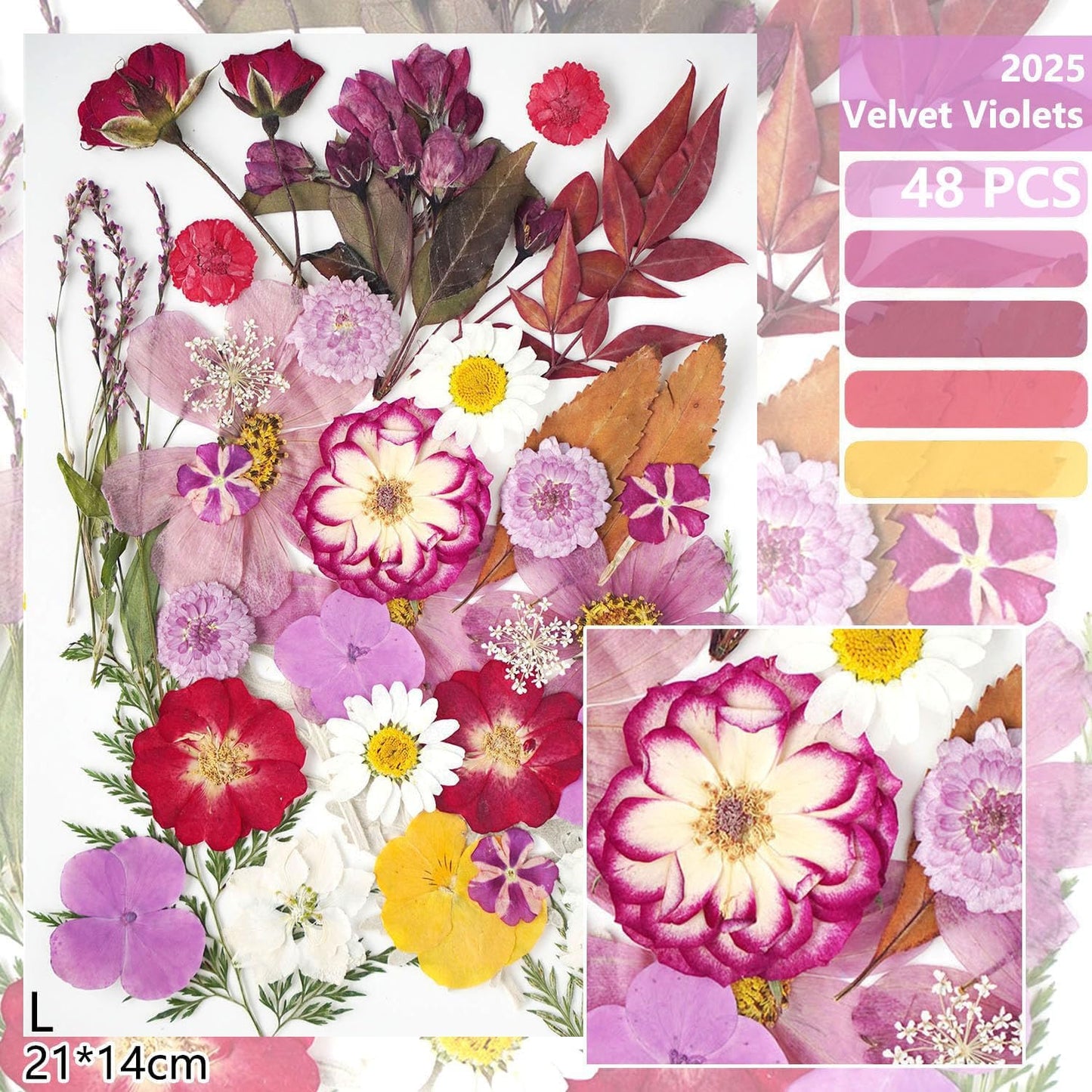 18Types 48PCS Real Dried Purple Pressed Flowers Leaf Plant Herbarium for Crafts Resin Jewelry Making, Floral Cake Decorations-Violet