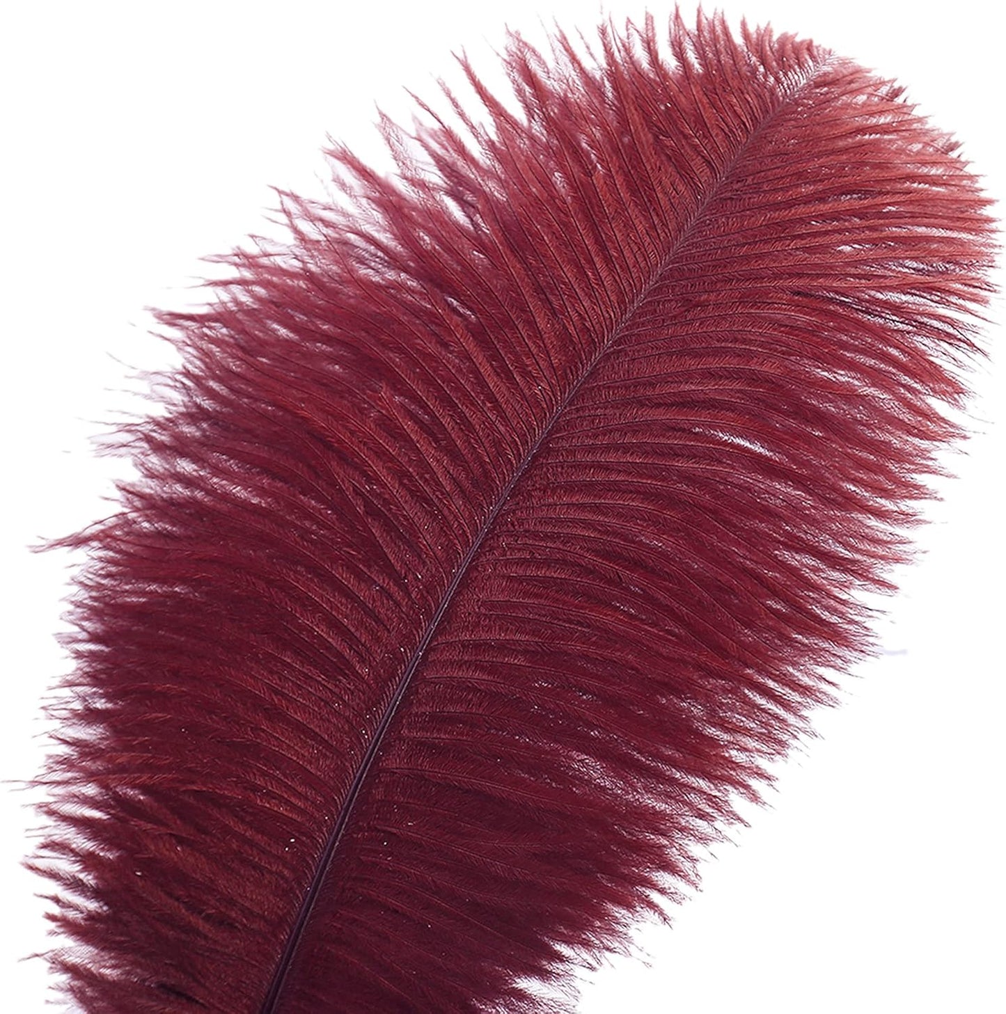 Ballinger Burgundy Large Ostrich Feathers - 12Pcs 14-16inch Large Wine Red Feathers for Vase, Wedding Party Centerpieces and Halloween Home Decor