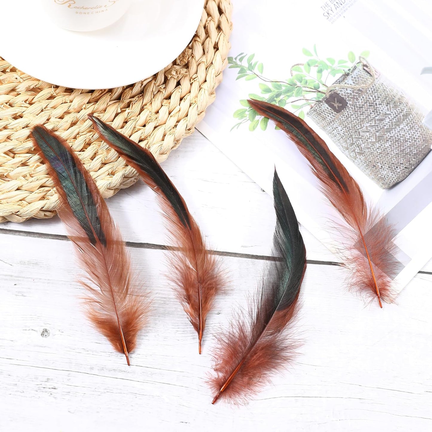 SOGUGOM Brown Rooster Tail Feathers - 200 pcs 5-7 inch Craft Feathers Bulk for Craft Projects, Halloween, Hats and Cocktail Table Centerpieces(Brown)