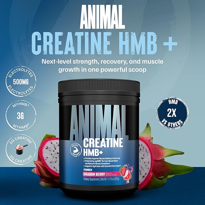 Animal Creatine HMB Powder – 5g Creatine + 3g myHMB with Electrolytes for Recovery & Daily Energy – Dragon Berry Flavor, 30 Servings