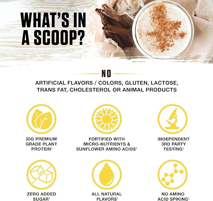 Ambrosia Planta - Premium Organic Plant-Based Protein | Vegan & Keto Friendly | Gourmet Flavors with No Bloating or Stomach Upset | Gluten & Soy Free | No Added Sugar | 14 Servings | (Cinnamon Roll)