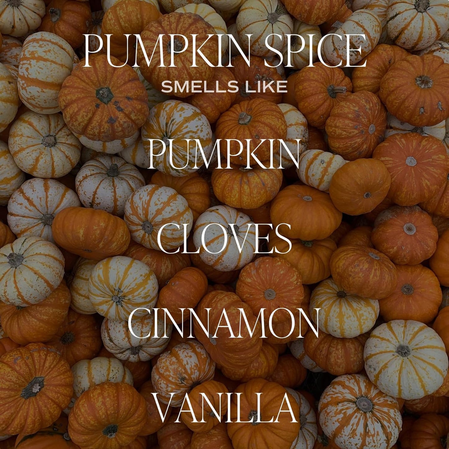 Sweet Water Decor Pumpkin Spice Candle - Fall Candles with Pumpkin, Clover, Cinnamon & Vanilla Scent for Home - Autumn Candle with 40 Hours Burn Time - 9Oz Gold Lid Clear Jar Cozy Soy Candles