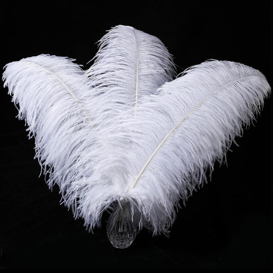 Larryhot White Large Ostrich Feathers - 16-18 inch 10pcs Feathers for Vase,Wedding Party Centerpieces and Home Decorations (White)