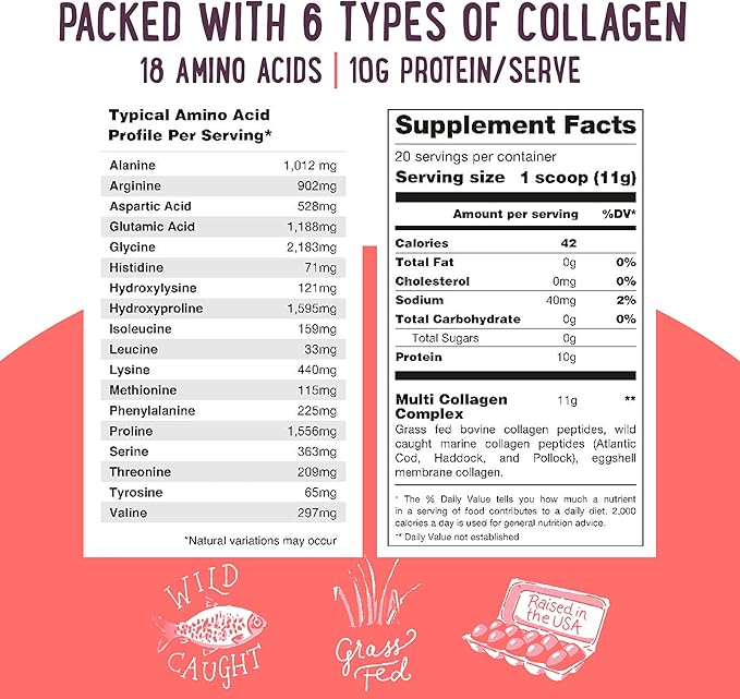 Multi Collagen Protein Powder Type 1, 2, 3, 4, 5, 10 - Unflavored & Hydrolyzed - Pure Collagen Peptides Powder - Grass Fed Beef, Wild Fish Marine & USA Eggshell - 20 Servings