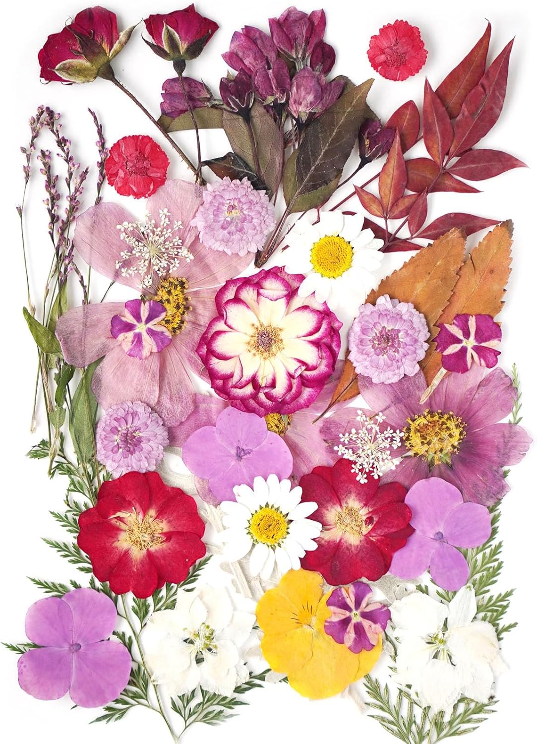 18Types 48PCS Real Dried Purple Pressed Flowers Leaf Plant Herbarium for Crafts Resin Jewelry Making, Floral Cake Decorations-Violet