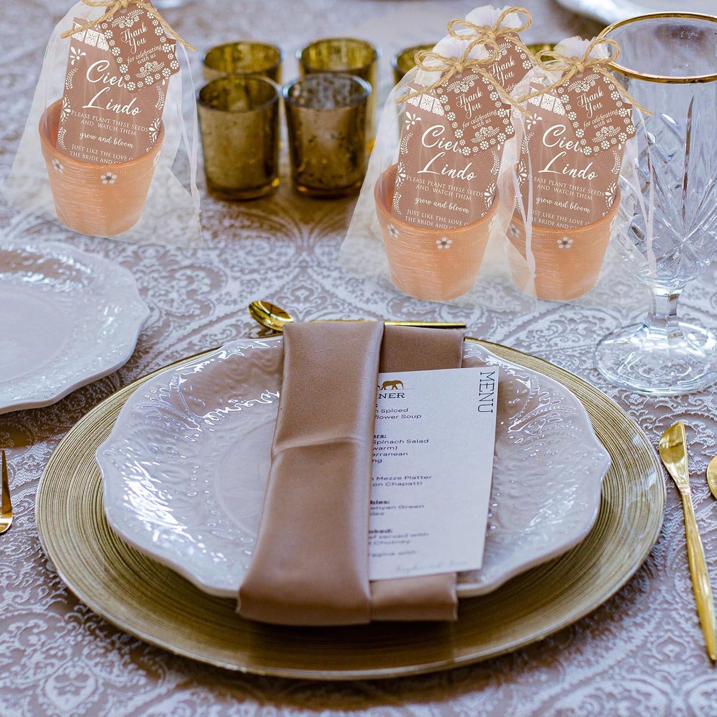 Ctosree 50 Sets Cielito Lindo Wedding Bridal Shower Favors for Guests Include Seed Packets Flowerpot Cards Hemp Ropes Organza Bags Mexican Barro Party Supplies for Wedding Bridal Shower Party Favors