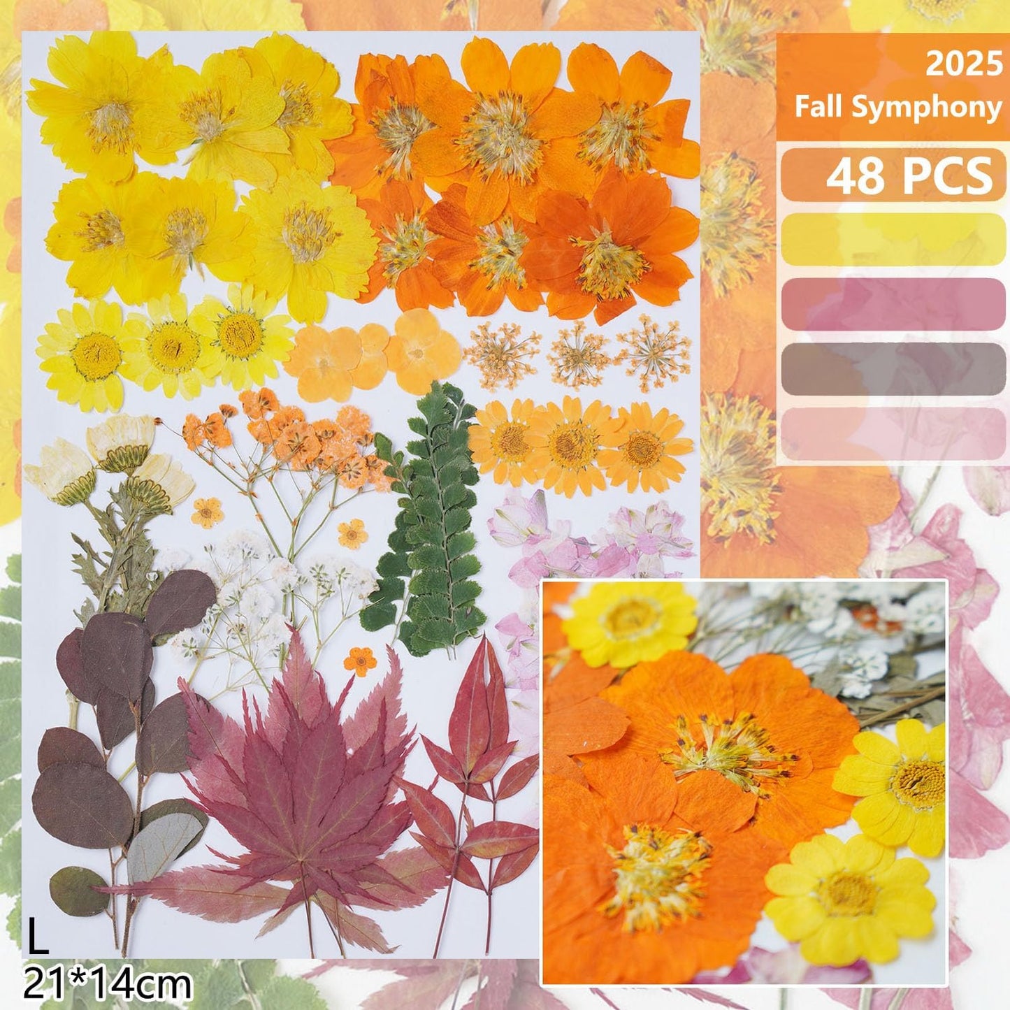 15Types 48Pcs Fall Real Dried Pressed Flowers Maple Leaf Plant Herbarium for Frame Crafts Resin Jewelry Making, Floral Cake Decorations-Fall